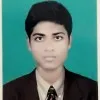 Apu Palmal