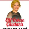Elif ÖZKAN ÇAVDARLI