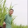 sherman xu