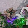 Arvind Kumar