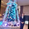 Anu Mehra