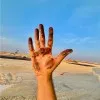 Ammar Albulushi