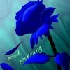 Mahender Singh