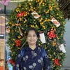 Divya