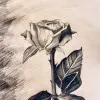 Halima Parvin