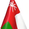 Amal Al Raisi