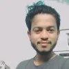 Dip Roy