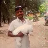 Rajsingh Singh