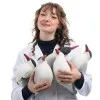 Annabel Flannagan