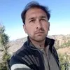 umar hayat