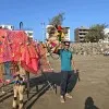 Sushant Mhatre