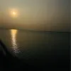 Pavani