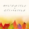 Tahir Naqqash