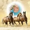 hanaa ahmed