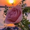 Junaid Baig