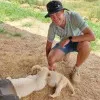 Jaco Van Der Merwe