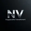 Nagaprudhvi Vallabhaneni