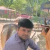 ANIL KUMAR YADAV
