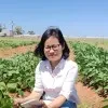 Anh Pham