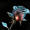 Saira Junaid Junaid