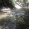 Fateme Hoseinpor