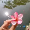 Rima Chowdhury