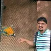Shashikar Gollapalli