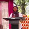 Haya Sarwar