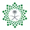 Ebtesam AlOtaibi