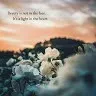 Pembarthi Roja