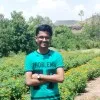 Abhinav Kale