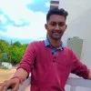 sargara anil