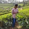 Karthikeswari