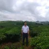 Tung Dinh
