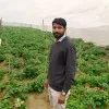 Vikash Singh