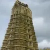 saravan mari