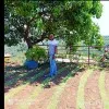 Avinash Singh