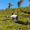 Visakh Sj