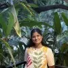 Kavya Banka