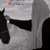 Hafsa Fatima