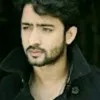 Anchal Mishra