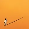 Dawnton Chen