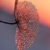 Elanthendral Elangeeran