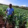 Philip Mbugua