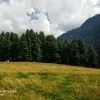 Azhar Jan