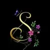 Sandhya Nathi