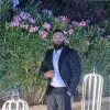 Noor Harb