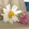 Daisy Small