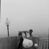 Andrew Chiu