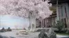 Winson Chen